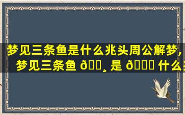 梦见三条鱼是什么兆头周公解梦,梦见三条鱼 🌸 是 🍀 什么兆头周公解梦女人